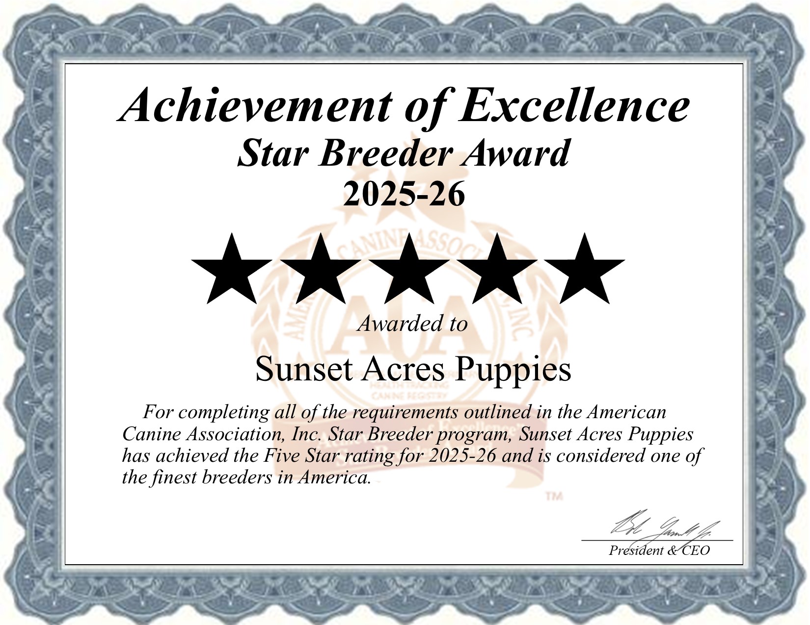 Sunset Acres Puppies, dog, breeder, star, certificate, Sunset Acres Puppies, Coatesville, PA, Pennsylvania, puppy, dog, kennels, mill, puppymill, usda, 5-star, aca, ica, registered, Toy Poodle